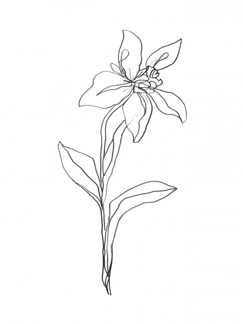 Simple Daffodil I