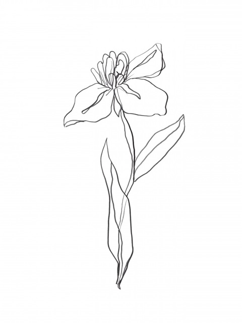 Simple Daffodil II