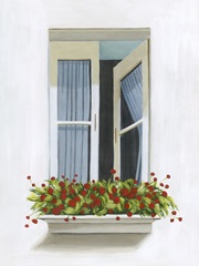 Through the Drapes I