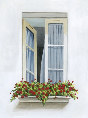 Through the Drapes II