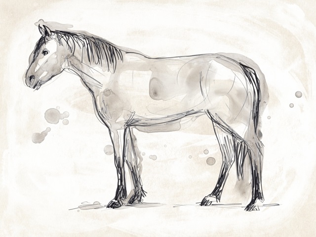 Vintage Equine Sketch I