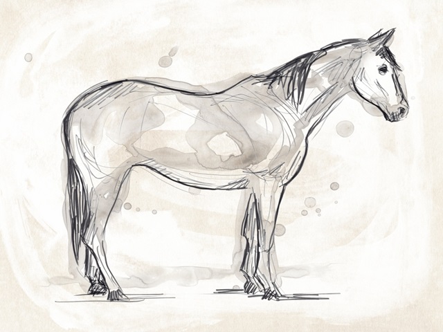 Vintage Equine Sketch II
