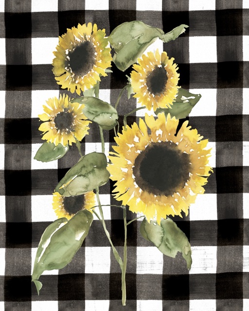 Buffalo Check Sunflower I