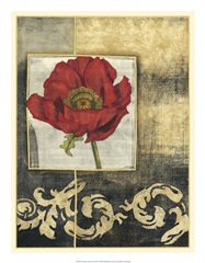 Poppy Poetry II