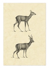Vintage Deer I