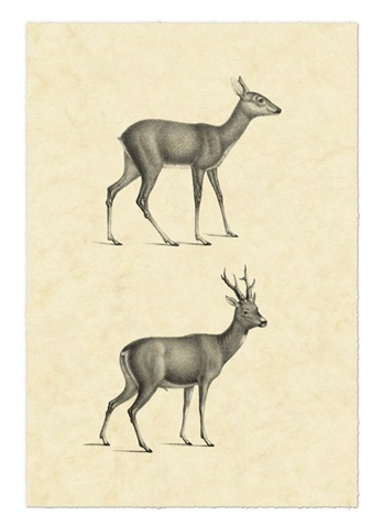 Vintage Deer I
