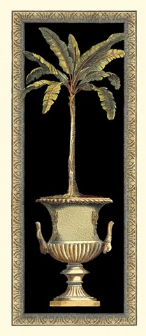 Tall Bordered Palm II