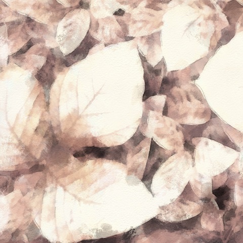 Blush Shaded Leaves II