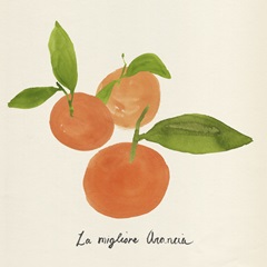 Citrus Trattare II