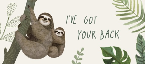 Sloth Sayings Collection D