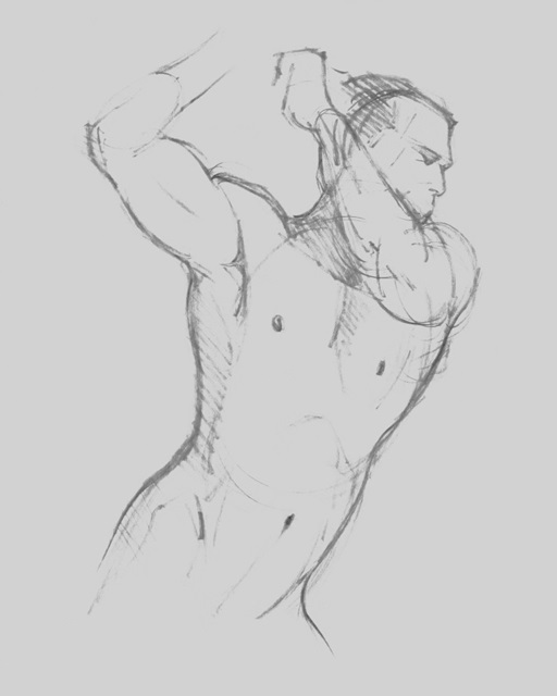 Male Torso Sketch I