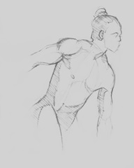 Male Torso Sketch II