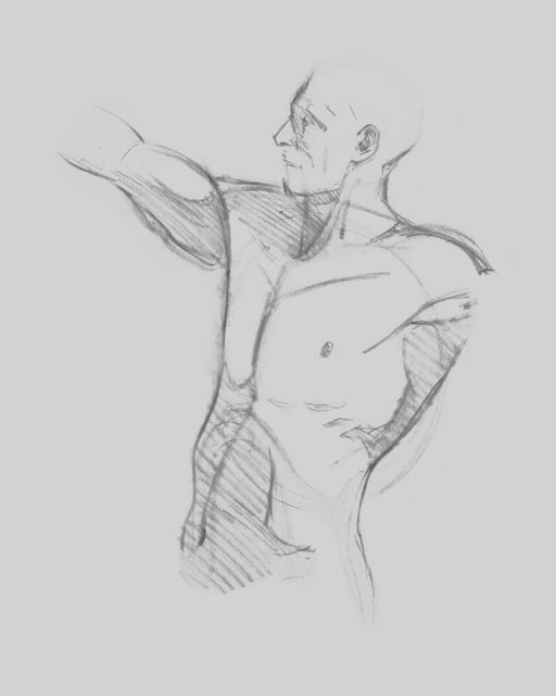 Male Torso Sketch IV