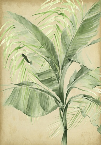 Banana Palms Collection B