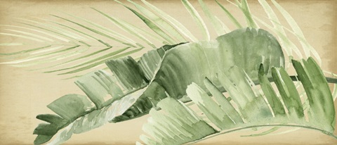 Banana Palms Collection D