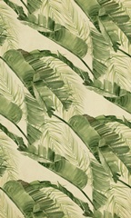 Banana Palms Collection E