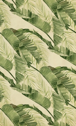 Banana Palms Collection E