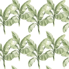 Banana Palms Collection F