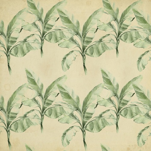 Banana Palms Collection G