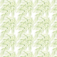 Banana Palms Collection H