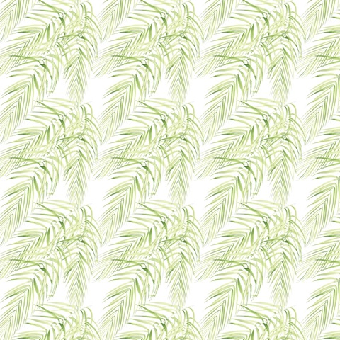 Banana Palms Collection H