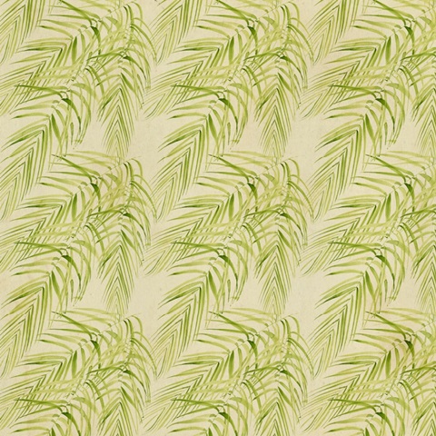 Banana Palms Collection I