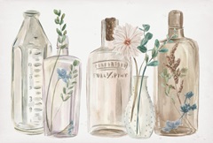 Butterflies & Flowers Collection A