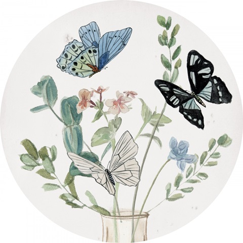 Butterflies & Flowers Collection C