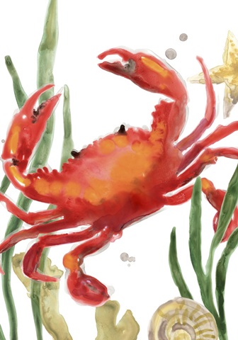 Crab Cameo Collection B