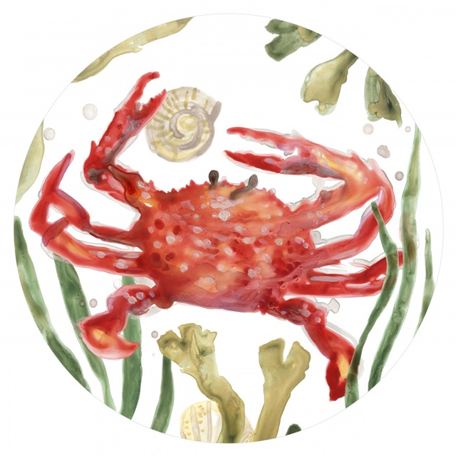 Crab Cameo Collection C