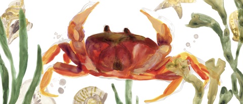 Crab Cameo Collection D