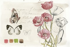 Field Notes Florals Collection A