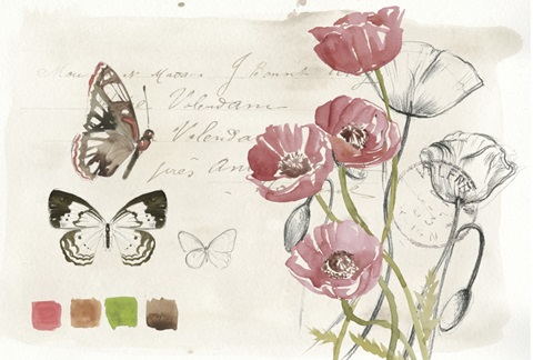 Field Notes Florals Collection A