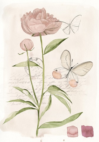 Field Notes Florals Collection B