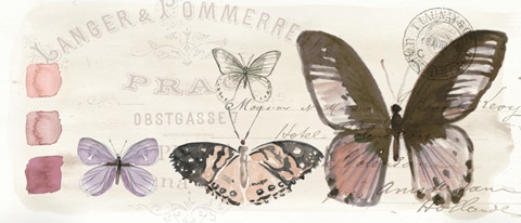 Field Notes Florals Collection D