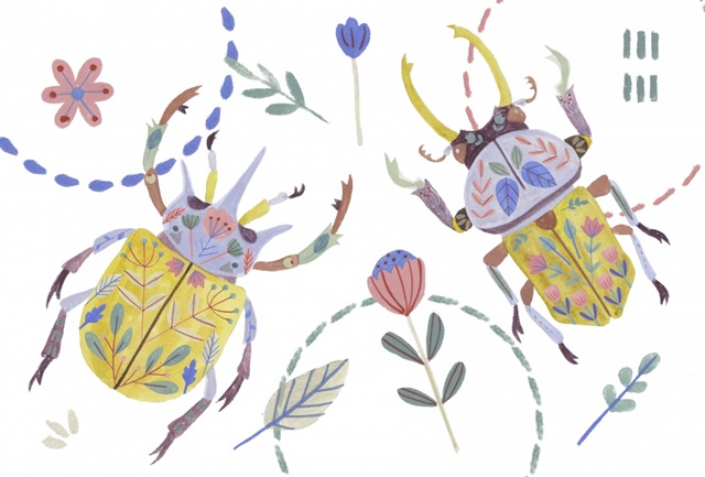 Floral Beetles Collection A