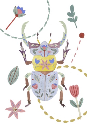 Floral Beetles Collection B