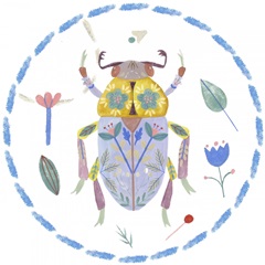 Floral Beetles Collection C