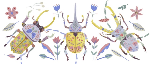 Floral Beetles Collection D