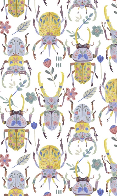 Floral Beetles Collection E