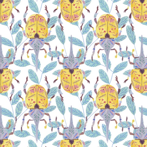 Floral Beetles Collection F
