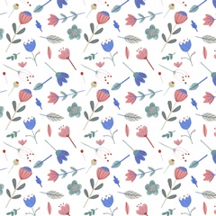 Floral Beetles Collection H