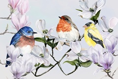 Four Little Birds Collection A