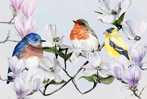 Four Little Birds Collection A