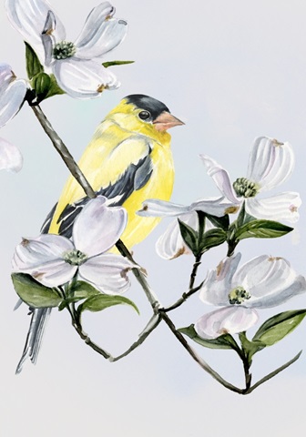 Four Little Birds Collection B