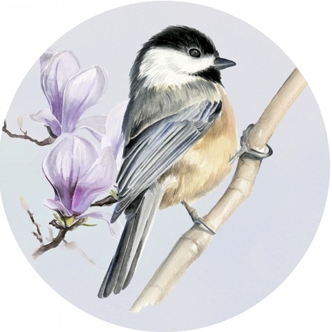 Four Little Birds Collection C