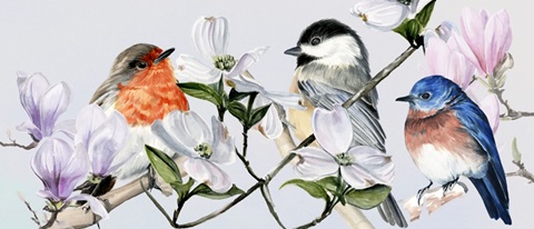 Four Little Birds Collection D