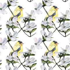 Four Little Birds Collection F