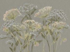 Lacy Wildflowers Collection A