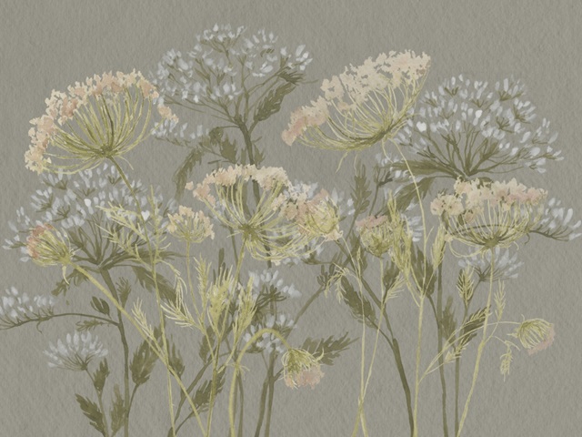 Lacy Wildflowers Collection A